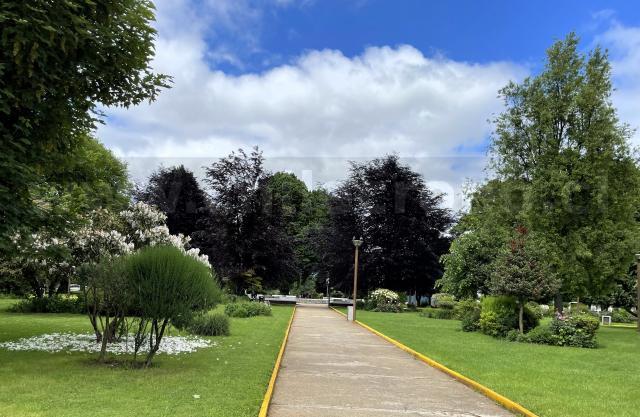 Loncoche - CHILECRONO, Hechos que marcaron la historia de Chile. Fotografías originales. Propiedad de WWW.CHILECRONO.CL CHILECRONO, Hechos, Acontecimientos, efemérides que marcaron la historia de Chile. Fotografías originales. Propiedad de WWW.CHILECRONO.CL