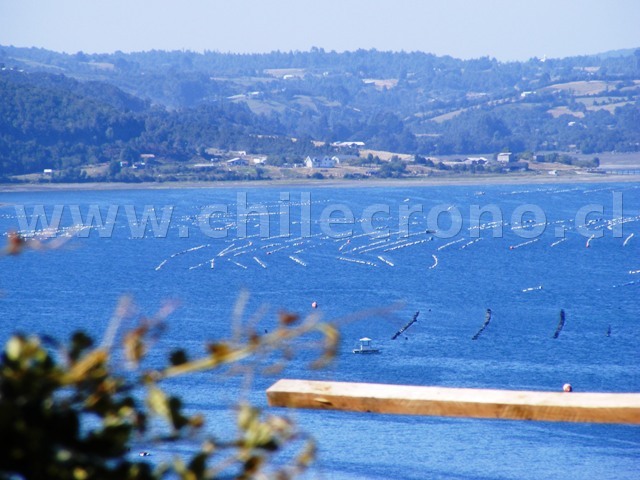 Calbuco - CHILECRONO, Hechos que marcaron la historia de Chile. Fotografías originales. Propiedad de WWW.CHILECRONO.CL CHILECRONO, Hechos, Acontecimientos, efemérides que marcaron la historia de Chile. Fotografías originales. Propiedad de WWW.CHILECRONO.CL