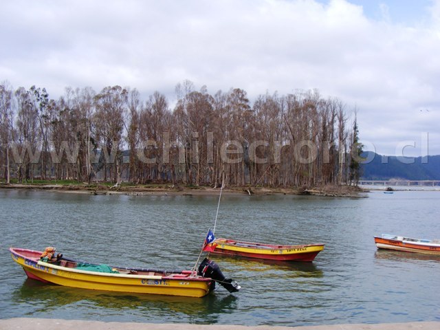Constitución - CHILECRONO, Hechos que marcaron la historia de Chile. Fotografías originales. Propiedad de WWW.CHILECRONO.CL CHILECRONO, Hechos, Acontecimientos, efemérides que marcaron la historia de Chile. Fotografías originales. Propiedad de WWW.CHILECRONO.CL