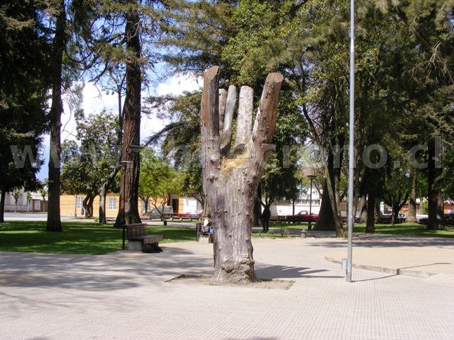 Molina - CHILECRONO, Hechos que marcaron la historia de Chile. Fotografías originales. Propiedad de WWW.CHILECRONO.CL CHILECRONO, Hechos, Acontecimientos, efemérides que marcaron la historia de Chile. Fotografías originales. Propiedad de WWW.CHILECRONO.CL