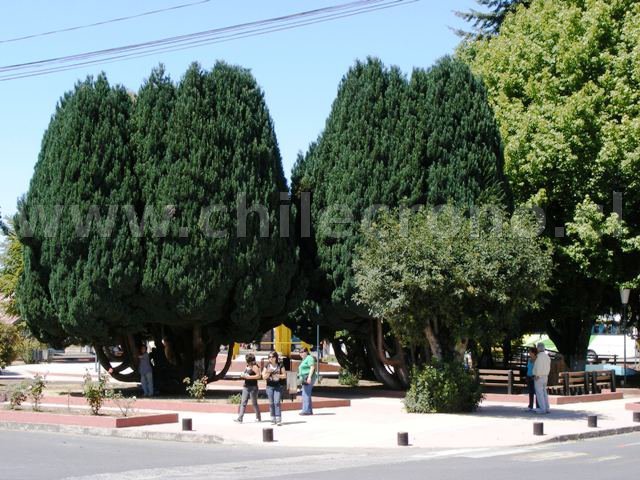 Puerto Octay - CHILECRONO, Hechos que marcaron la historia de Chile. Fotografías originales. Propiedad de WWW.CHILECRONO.CL CHILECRONO, Hechos, Acontecimientos, efemérides que marcaron la historia de Chile. Fotografías originales. Propiedad de WWW.CHILECRONO.CL