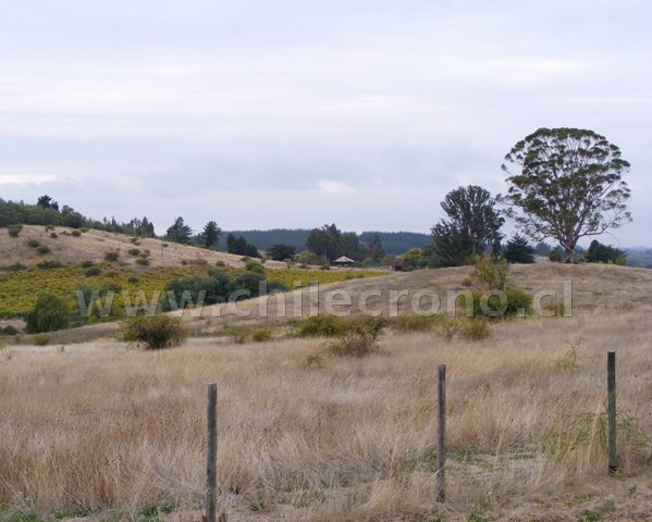 San Nicolás - CHILECRONO, Hechos que marcaron la historia de Chile. Fotografías originales. Propiedad de WWW.CHILECRONO.CL CHILECRONO, Hechos, Acontecimientos, efemérides que marcaron la historia de Chile. Fotografías originales. Propiedad de WWW.CHILECRONO.CL