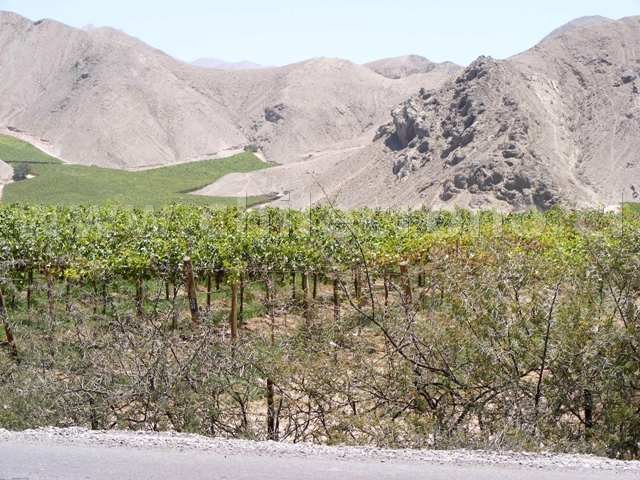 Tierra Amarilla - CHILECRONO, Hechos que marcaron la historia de Chile. Fotografías originales. Propiedad de WWW.CHILECRONO.CL CHILECRONO, Hechos, Acontecimientos, efemérides que marcaron la historia de Chile. Fotografías originales. Propiedad de WWW.CHILECRONO.CL