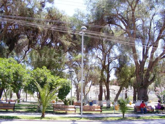 Tierra Amarilla - CHILECRONO, Hechos que marcaron la historia de Chile. Fotografías originales. Propiedad de WWW.CHILECRONO.CL CHILECRONO, Hechos, Acontecimientos, efemérides que marcaron la historia de Chile. Fotografías originales. Propiedad de WWW.CHILECRONO.CL