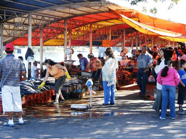 Valdivia - CHILECRONO, Hechos que marcaron la historia de Chile. Fotografías originales. Propiedad de WWW.CHILECRONO.CL CHILECRONO, Hechos, Acontecimientos, efemérides que marcaron la historia de Chile. Fotografías originales. Propiedad de WWW.CHILECRONO.CL